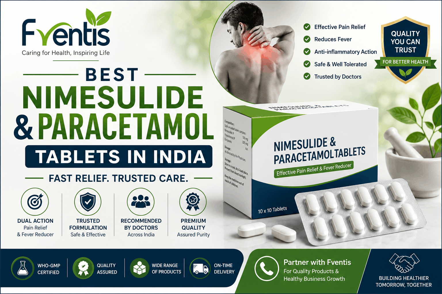 Best Nimesulide and Paracetamol Tablets in India
